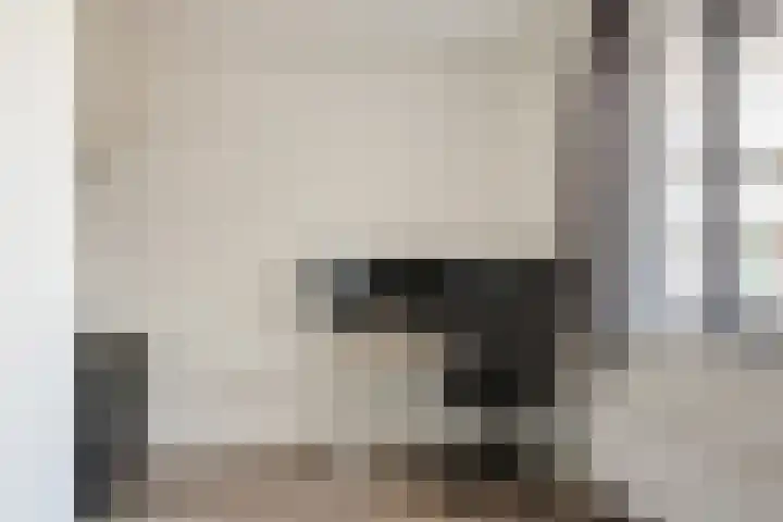 Vossenzoom 45 Pijnacker thumbnail 25