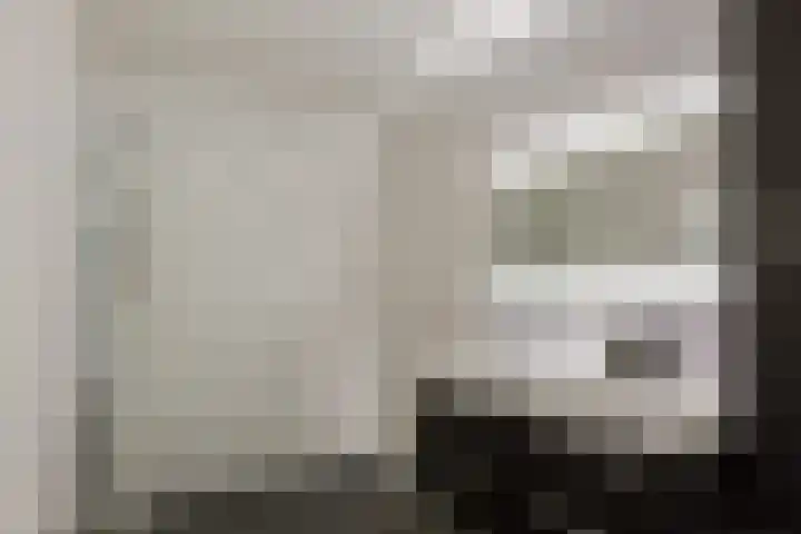 Vossenzoom 45 Pijnacker thumbnail 28