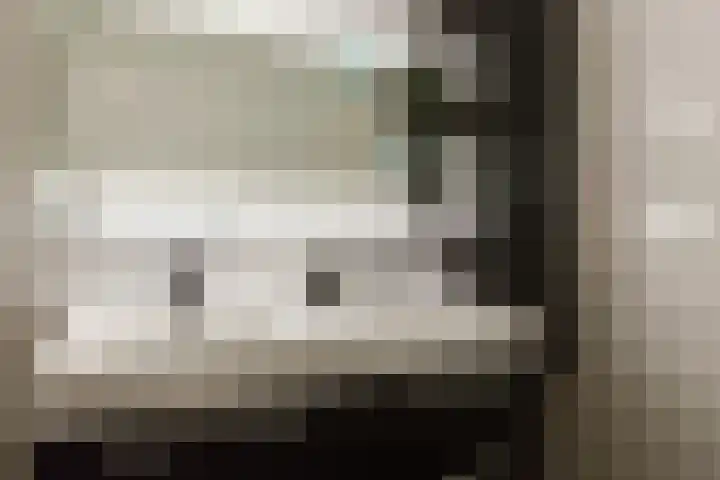 Vossenzoom 45 Pijnacker thumbnail 29