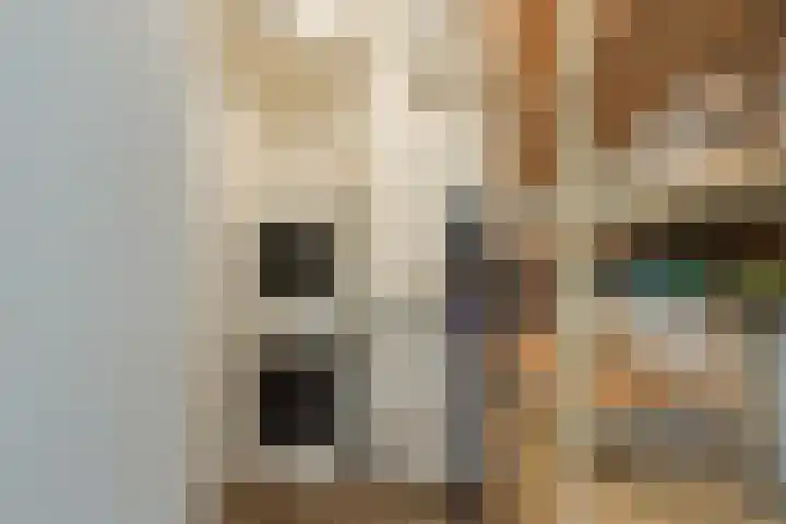 Vossenzoom 45 Pijnacker thumbnail 31
