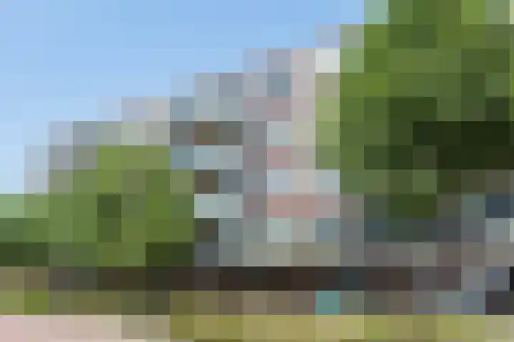 Vossenzoom 45 Pijnacker thumbnail 32