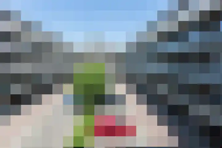 Vossenzoom 45 Pijnacker thumbnail 34