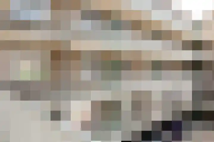 Vossenzoom 45 Pijnacker thumbnail 8