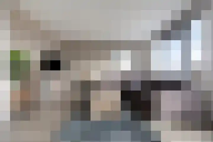Vossenzoom 47 Pijnacker thumbnail 10