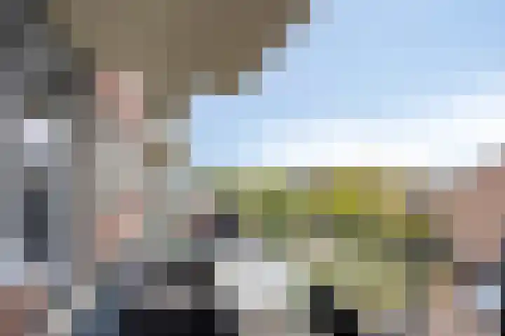 Vossenzoom 47 Pijnacker thumbnail 11