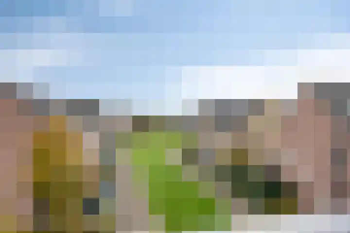 Vossenzoom 47 Pijnacker thumbnail 12
