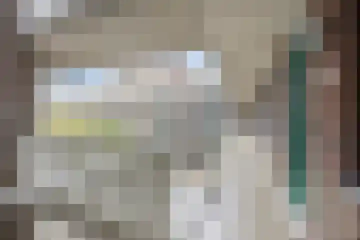 Vossenzoom 47 Pijnacker thumbnail 22