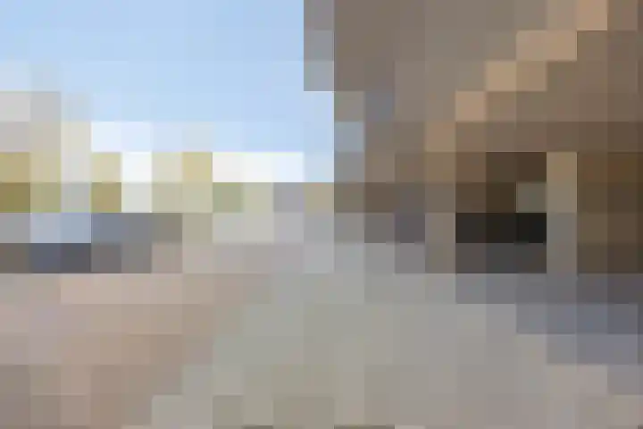 Vossenzoom 47 Pijnacker thumbnail 26