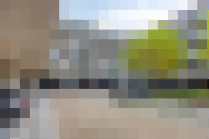 Vossenzoom 47 Pijnacker thumbnail 27