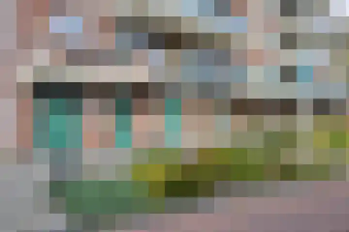 Vossenzoom 47 Pijnacker thumbnail 28
