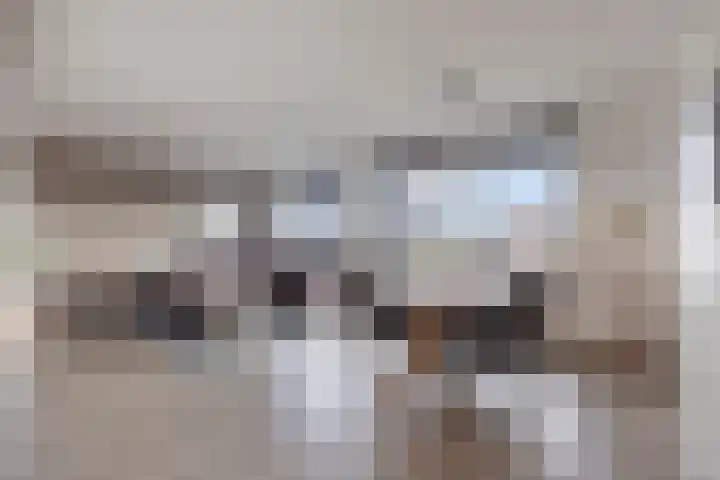 Vossenzoom 47 Pijnacker thumbnail 4