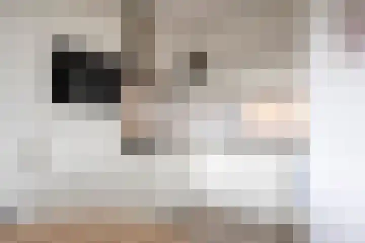 Vossenzoom 47 Pijnacker thumbnail 5