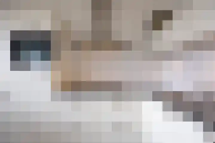 Vossenzoom 47 Pijnacker thumbnail 6