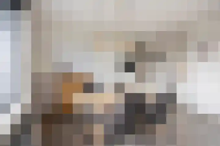 Vossenzoom 47 Pijnacker thumbnail 8