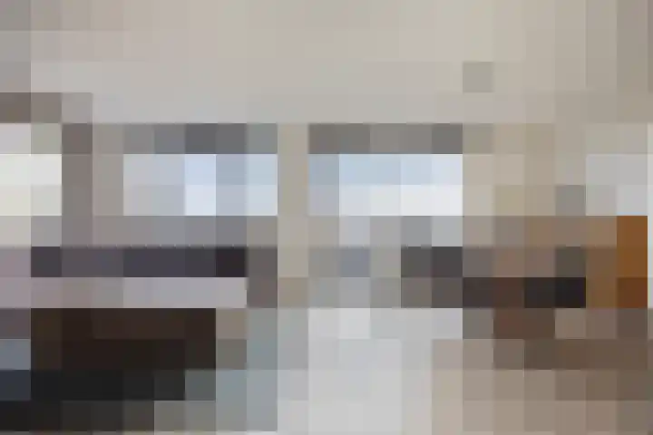 Vossenzoom 47 Pijnacker thumbnail 9