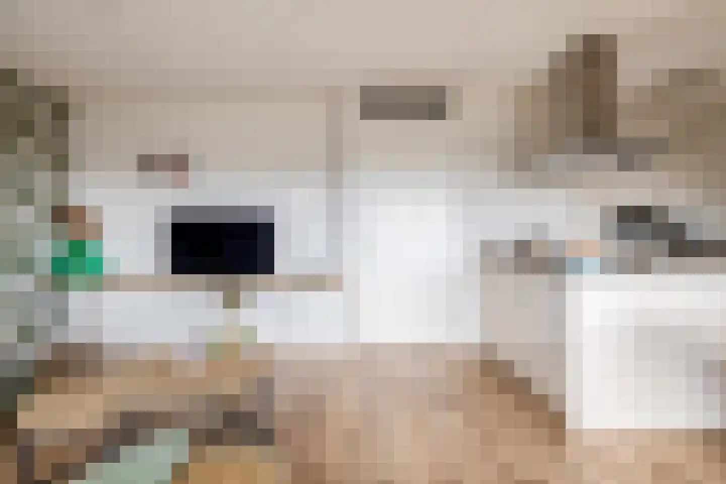 Vossenzoom 50 Pijnacker thumbnail 10