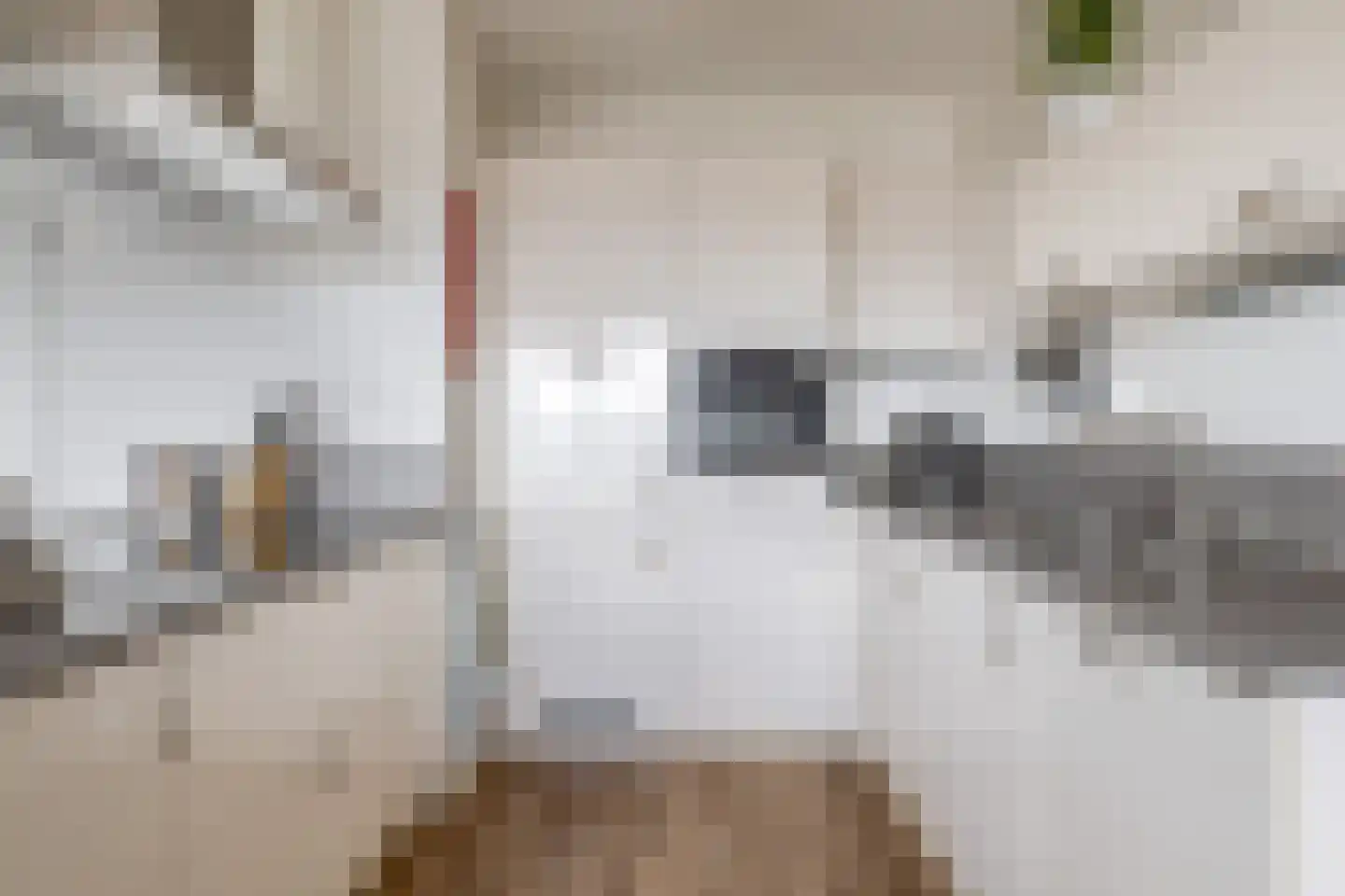 Vossenzoom 50 Pijnacker thumbnail 11