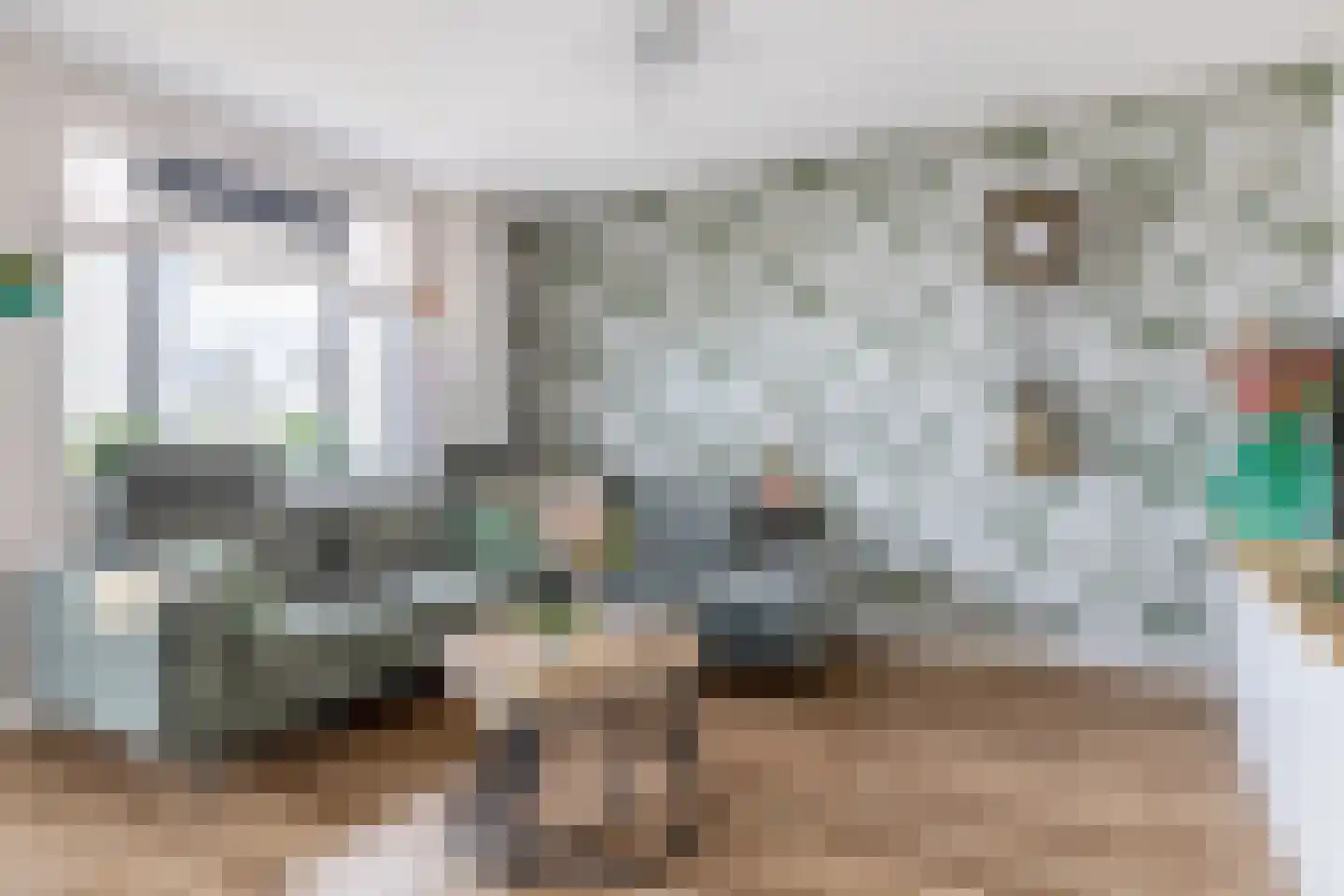 Vossenzoom 50 Pijnacker thumbnail 4
