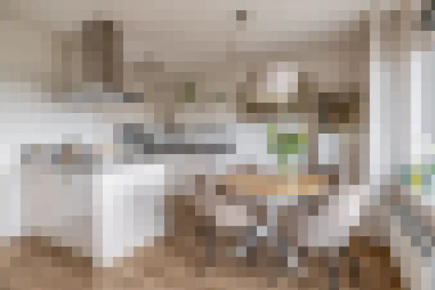 Vossenzoom 50 Pijnacker thumbnail 9