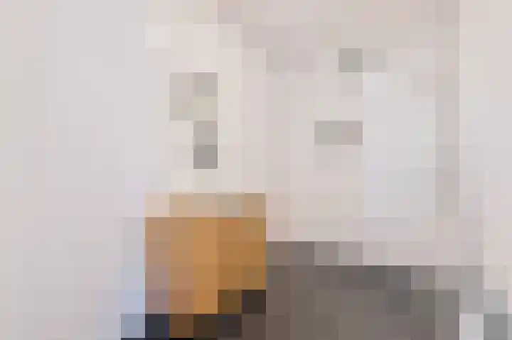 Vossenzoom 54 Pijnacker thumbnail 19