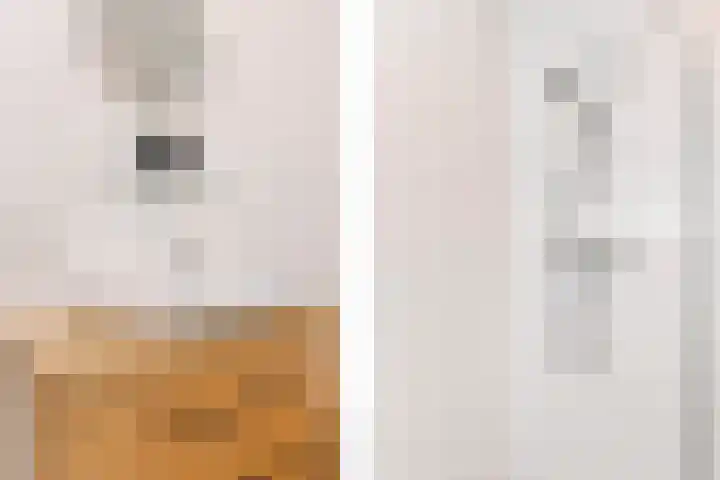 Vossenzoom 54 Pijnacker thumbnail 20