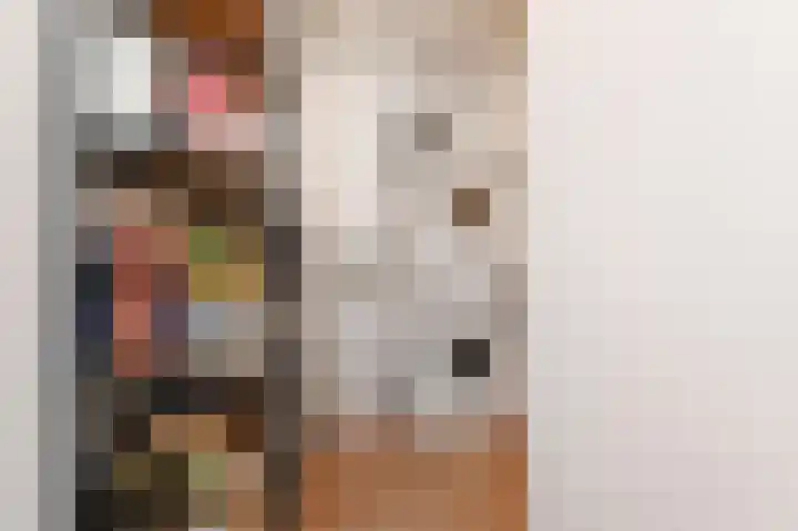 Vossenzoom 54 Pijnacker thumbnail 22