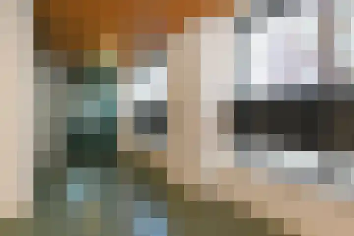 Vossenzoom 54 Pijnacker thumbnail 26