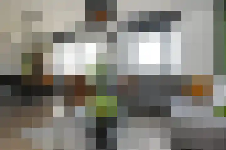 Vossenzoom 54 Pijnacker thumbnail 6
