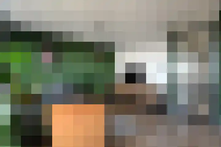 Vossenzoom 54 Pijnacker thumbnail 7