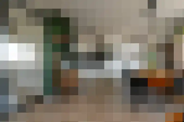 Vossenzoom 54 Pijnacker thumbnail 9
