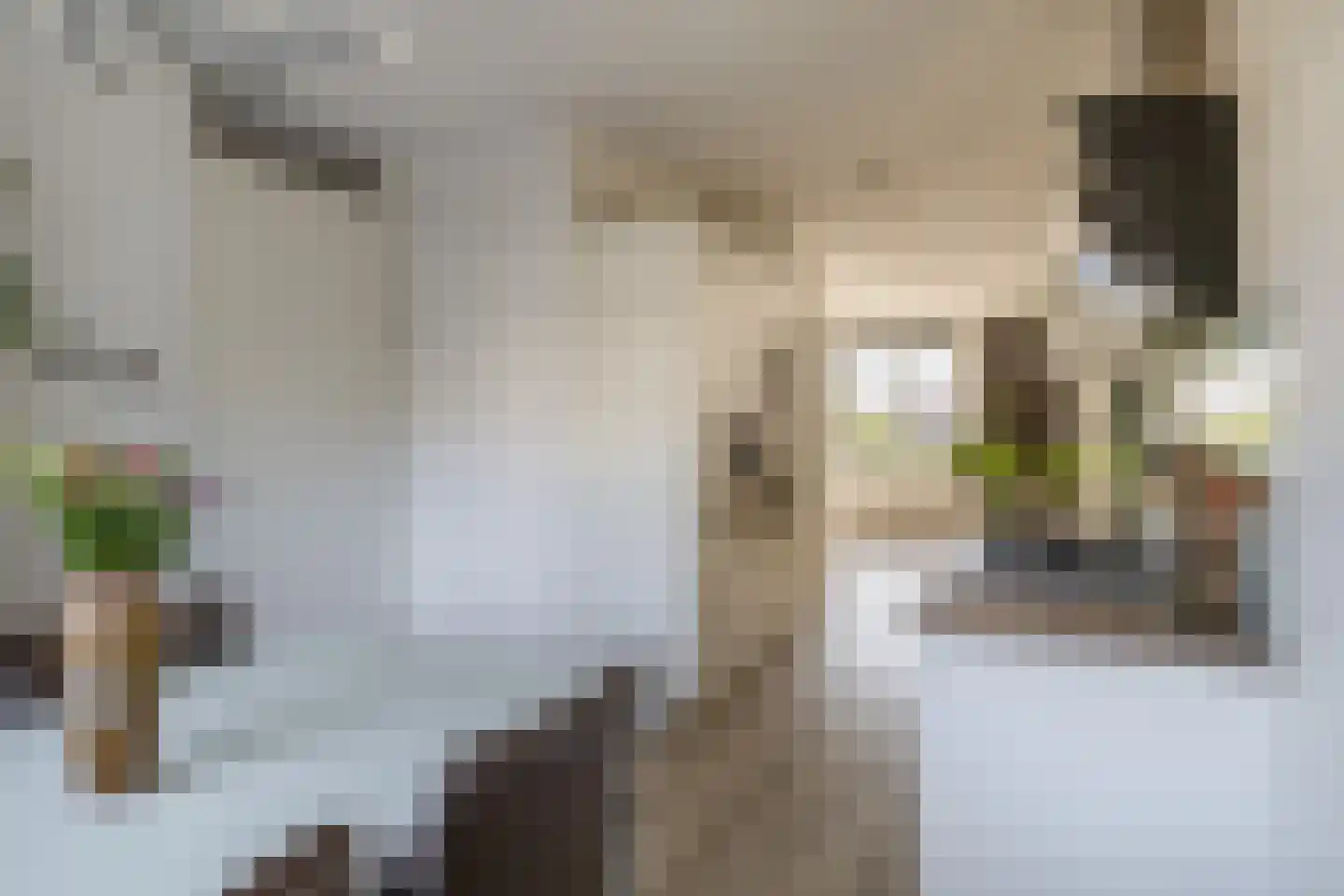 Vossenzoom 65 Pijnacker thumbnail 11