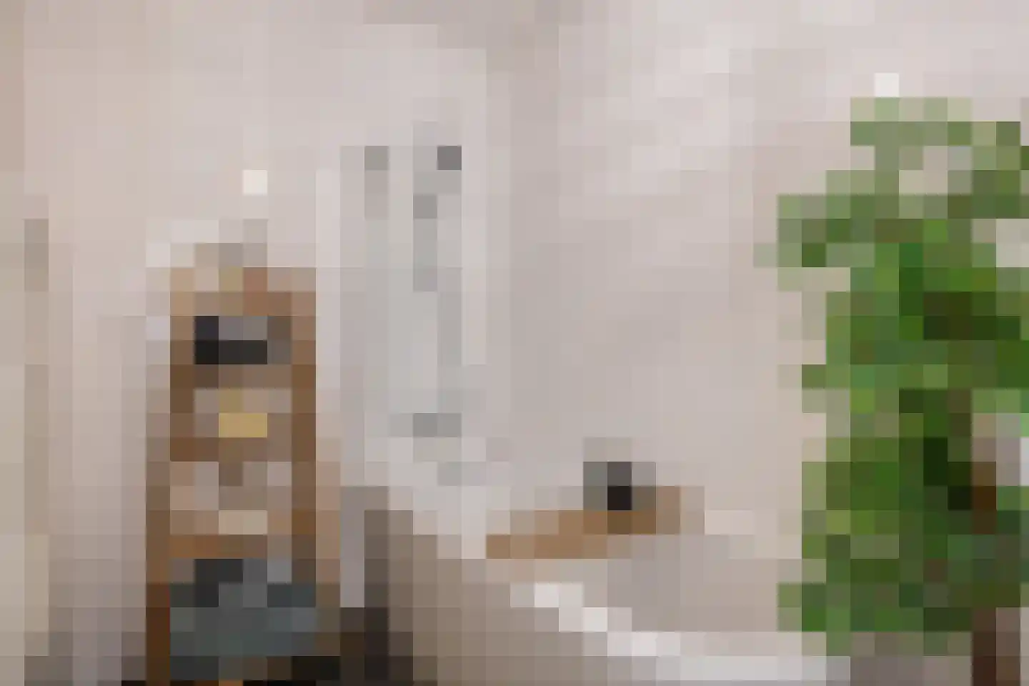 Vossenzoom 65 Pijnacker thumbnail 22