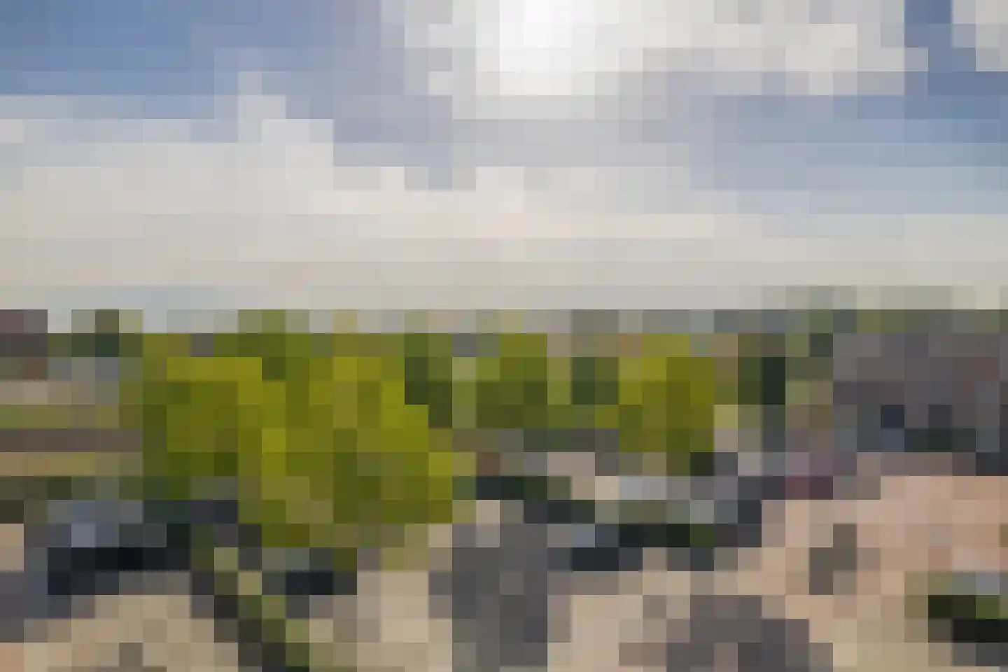 Vossenzoom 65 Pijnacker thumbnail 8