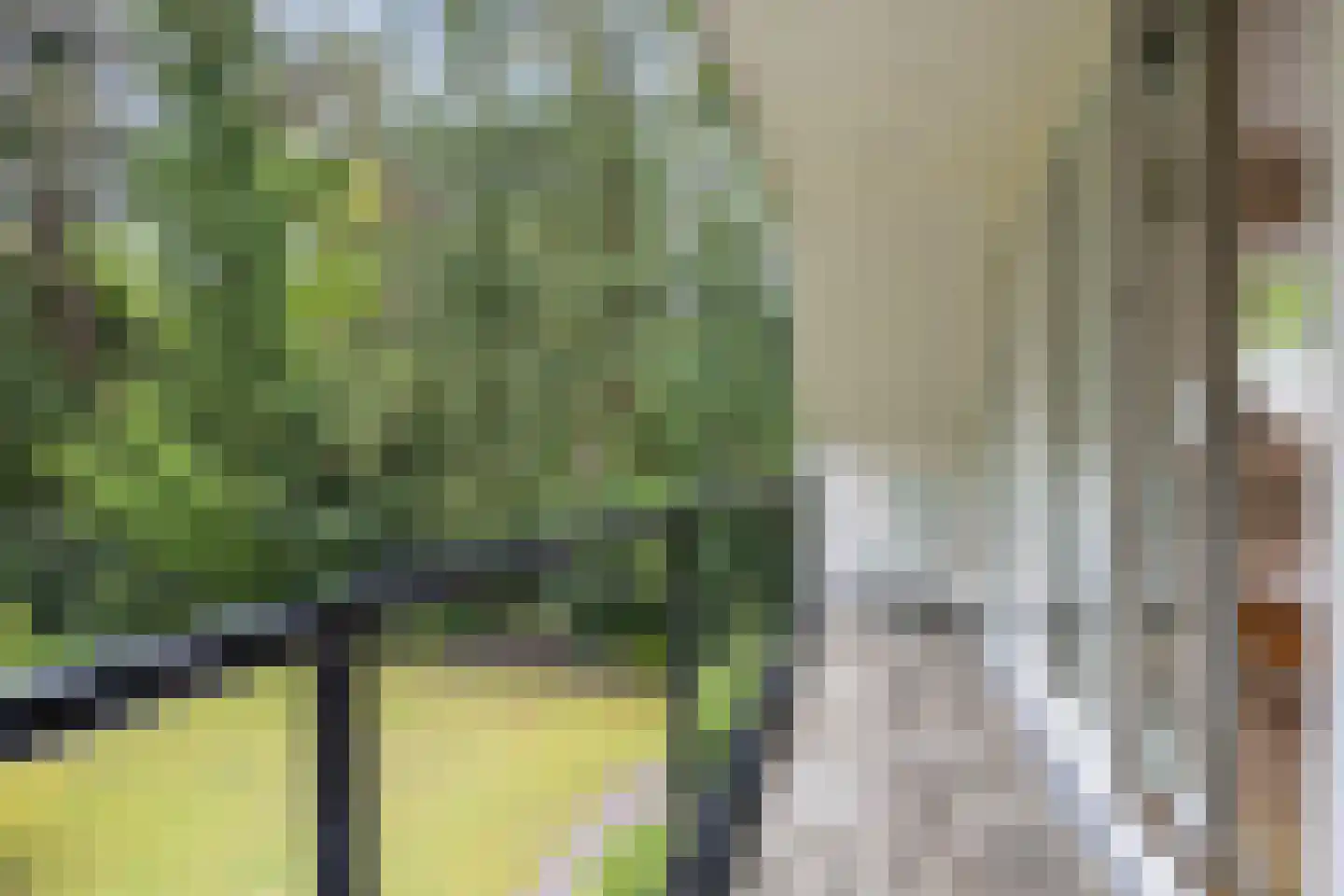 Vossepad 11 Emmen thumbnail 27