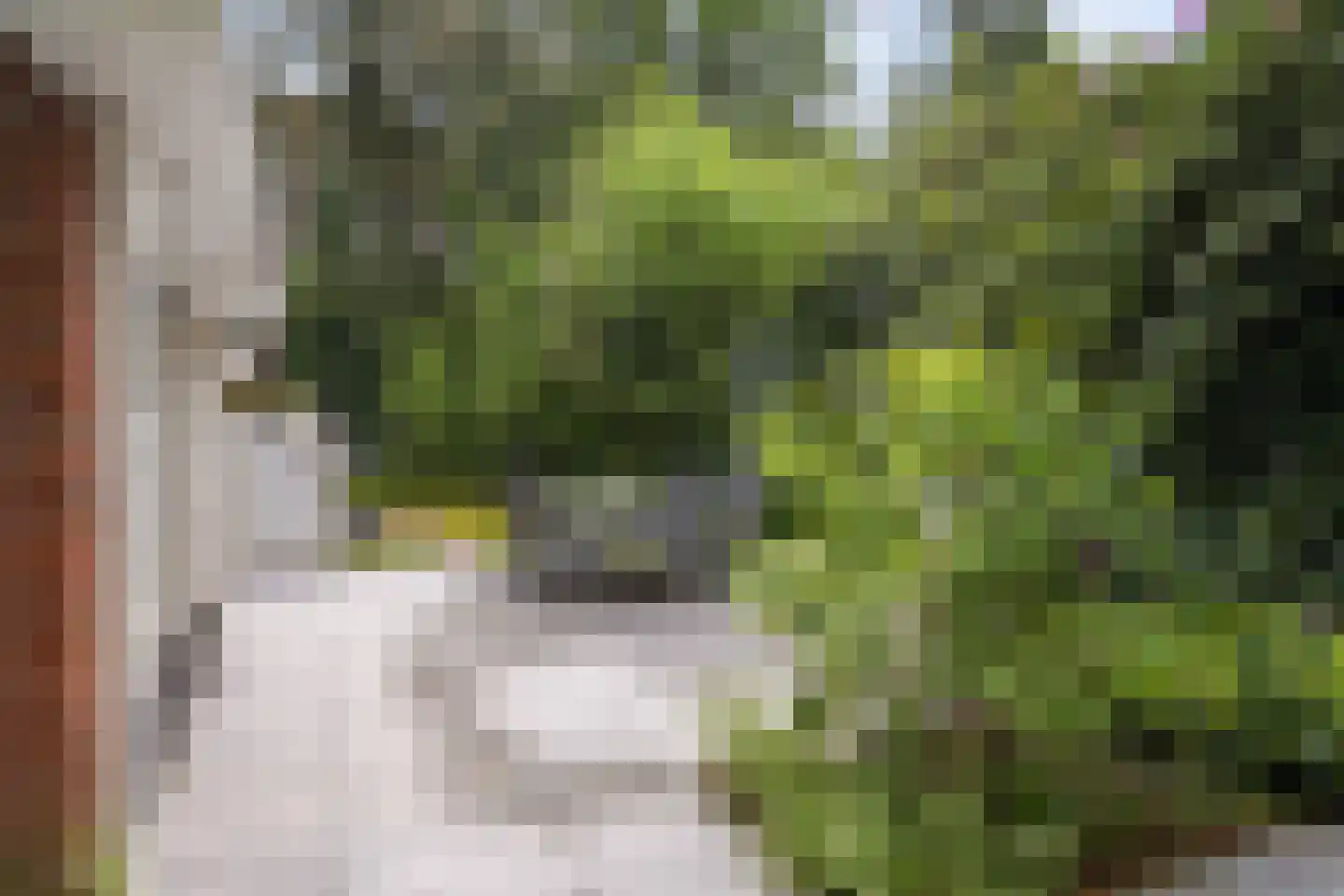 Vossepad 11 Emmen thumbnail 35
