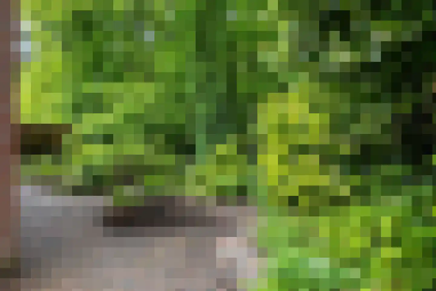 Vossepad 11 Emmen thumbnail 38
