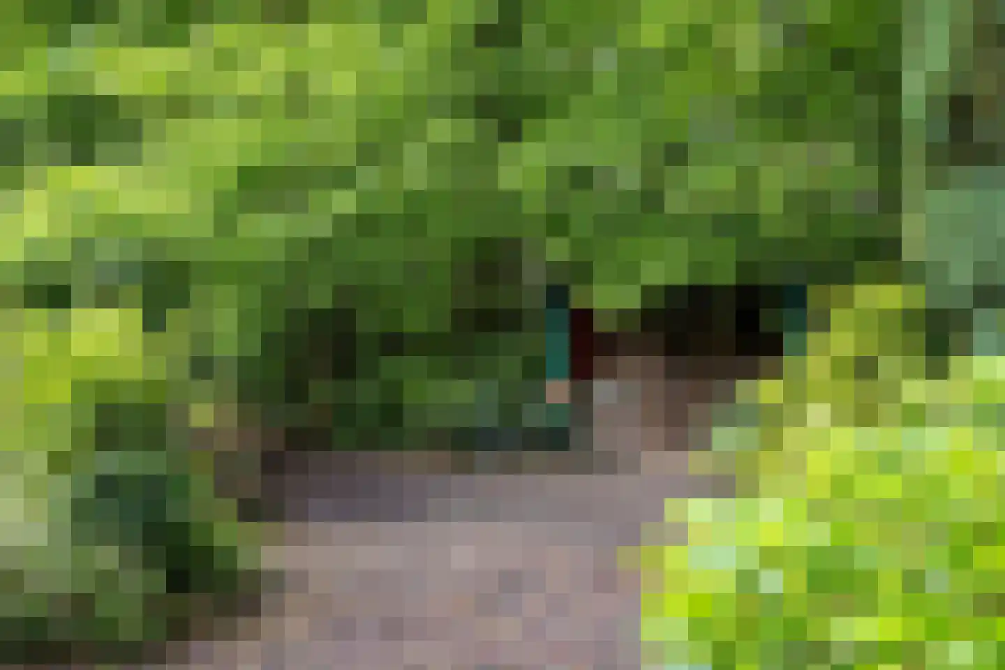 Vossepad 11 Emmen thumbnail 39