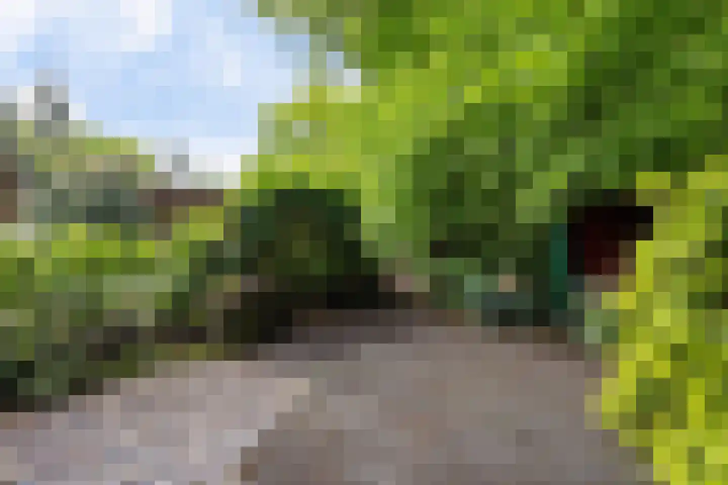 Vossepad 11 Emmen thumbnail 40