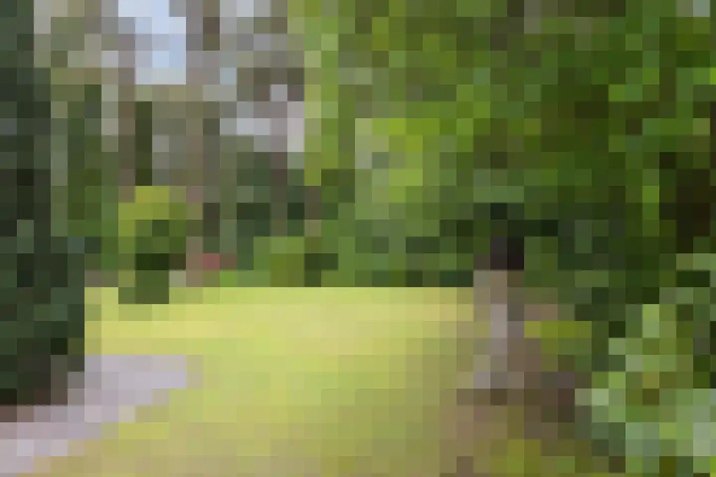 Vossepad 11 Emmen thumbnail 42