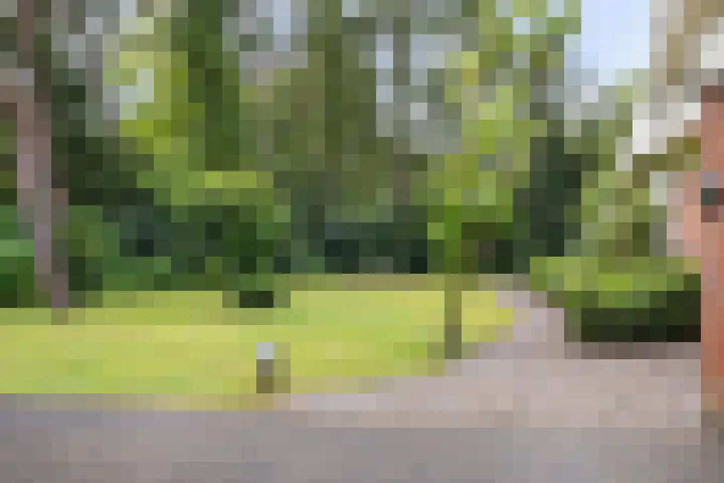 Vossepad 11 Emmen thumbnail 48