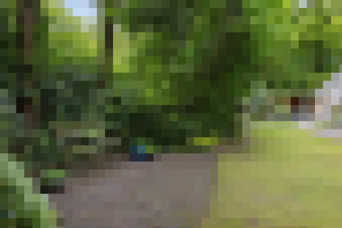 Vossepad 11 Emmen thumbnail 50
