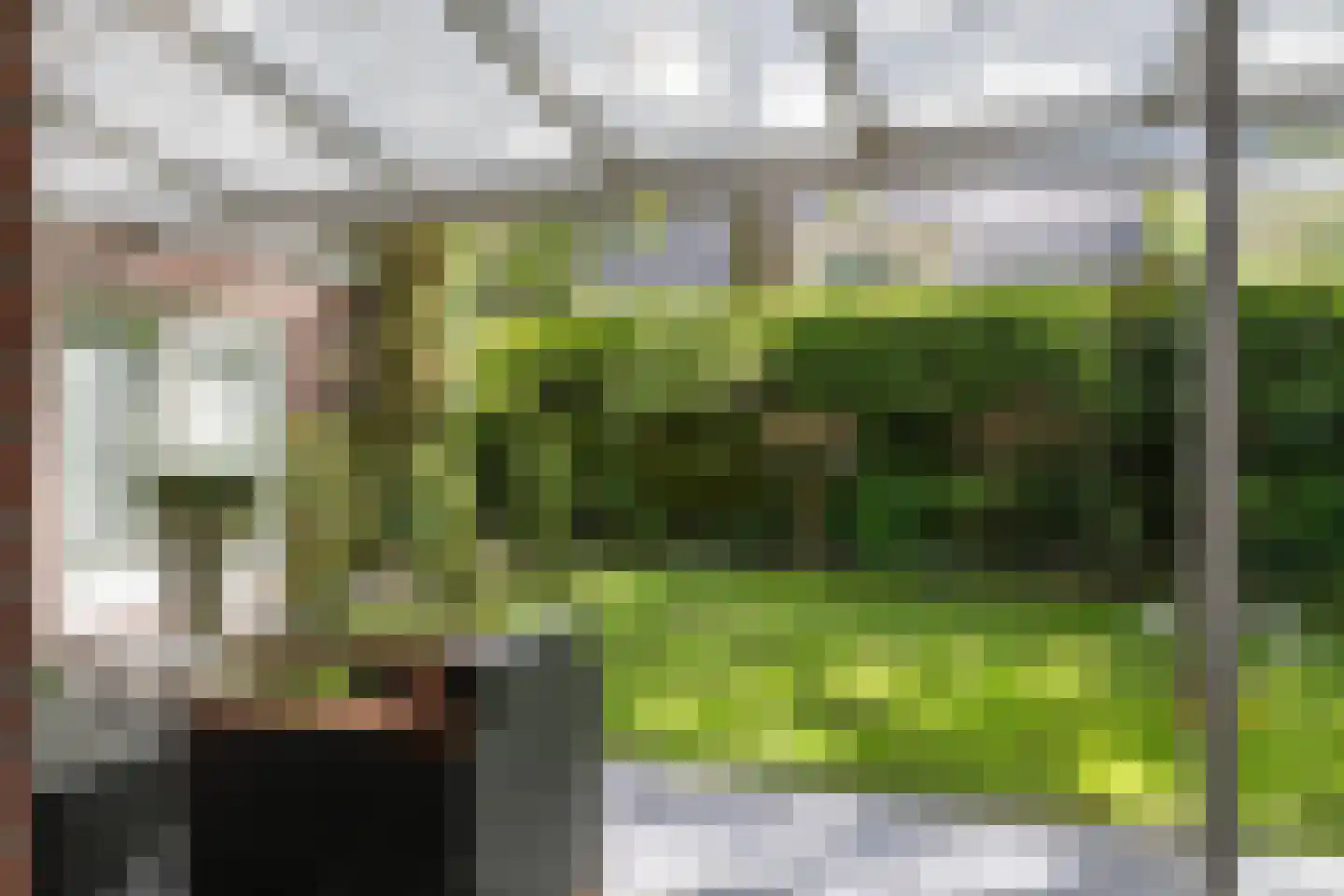Vossepad 13 Emmen thumbnail 32