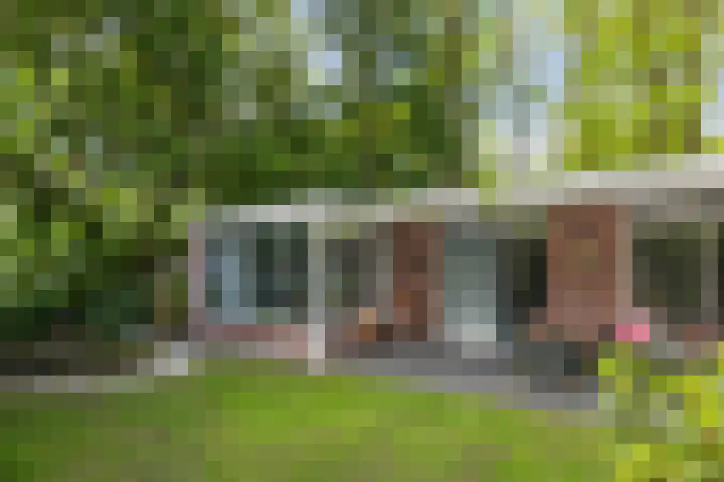 Vossepad 13 Emmen thumbnail 33