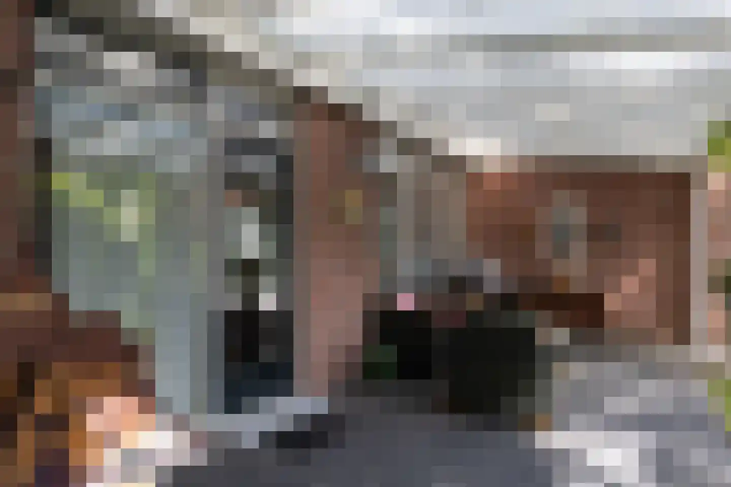 Vossepad 13 Emmen thumbnail 36