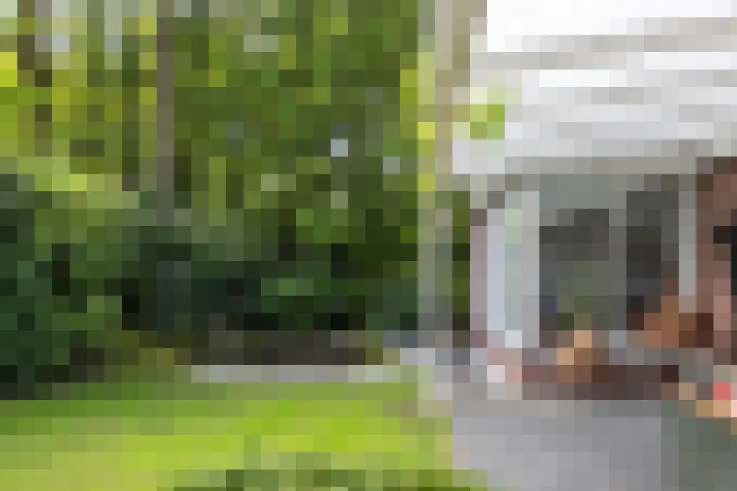 Vossepad 13 Emmen thumbnail 37