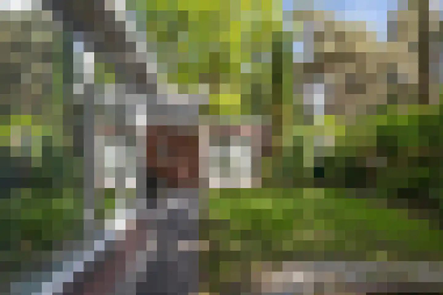 Vossepad 13 Emmen thumbnail 38