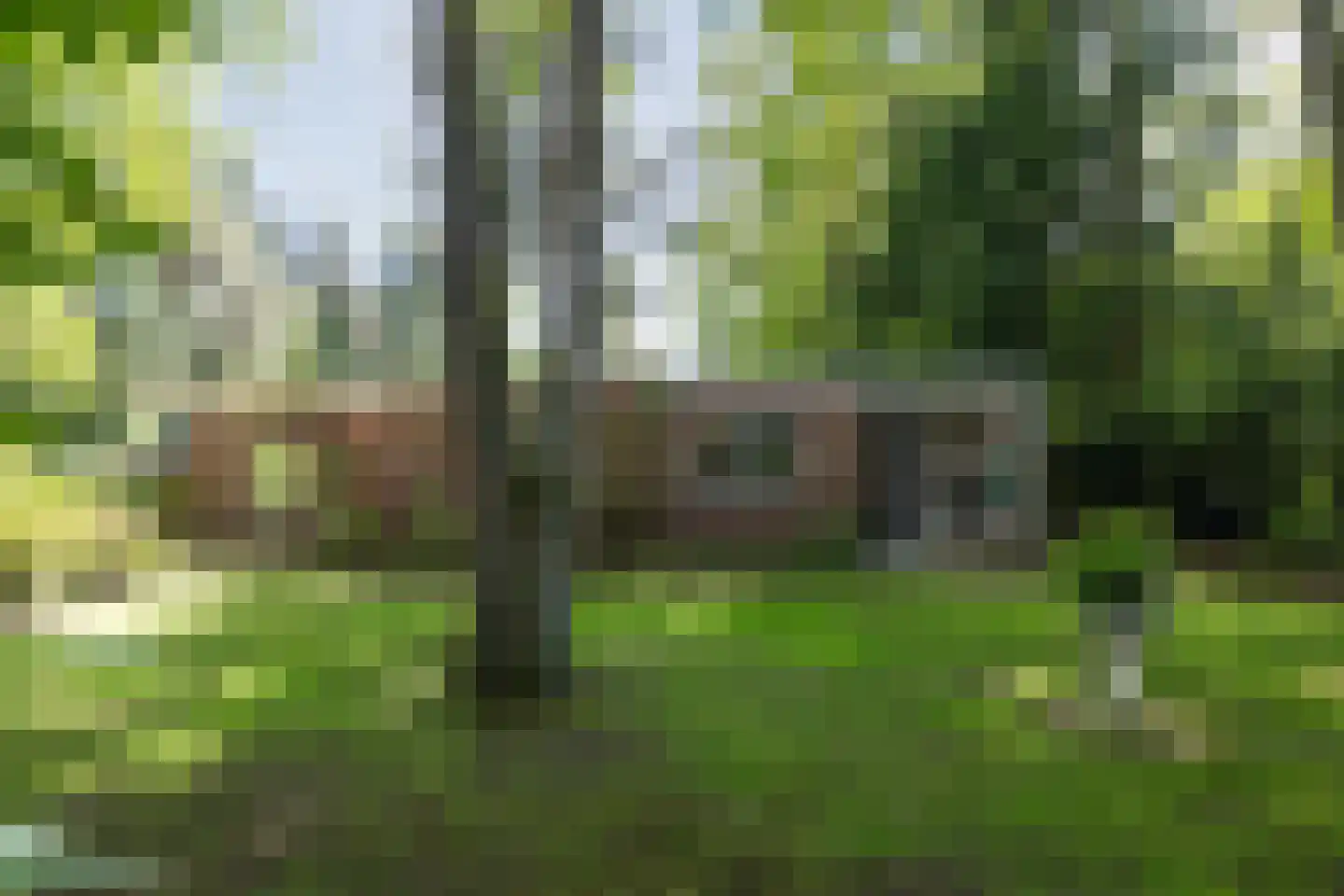 Vossepad 13 Emmen thumbnail 41