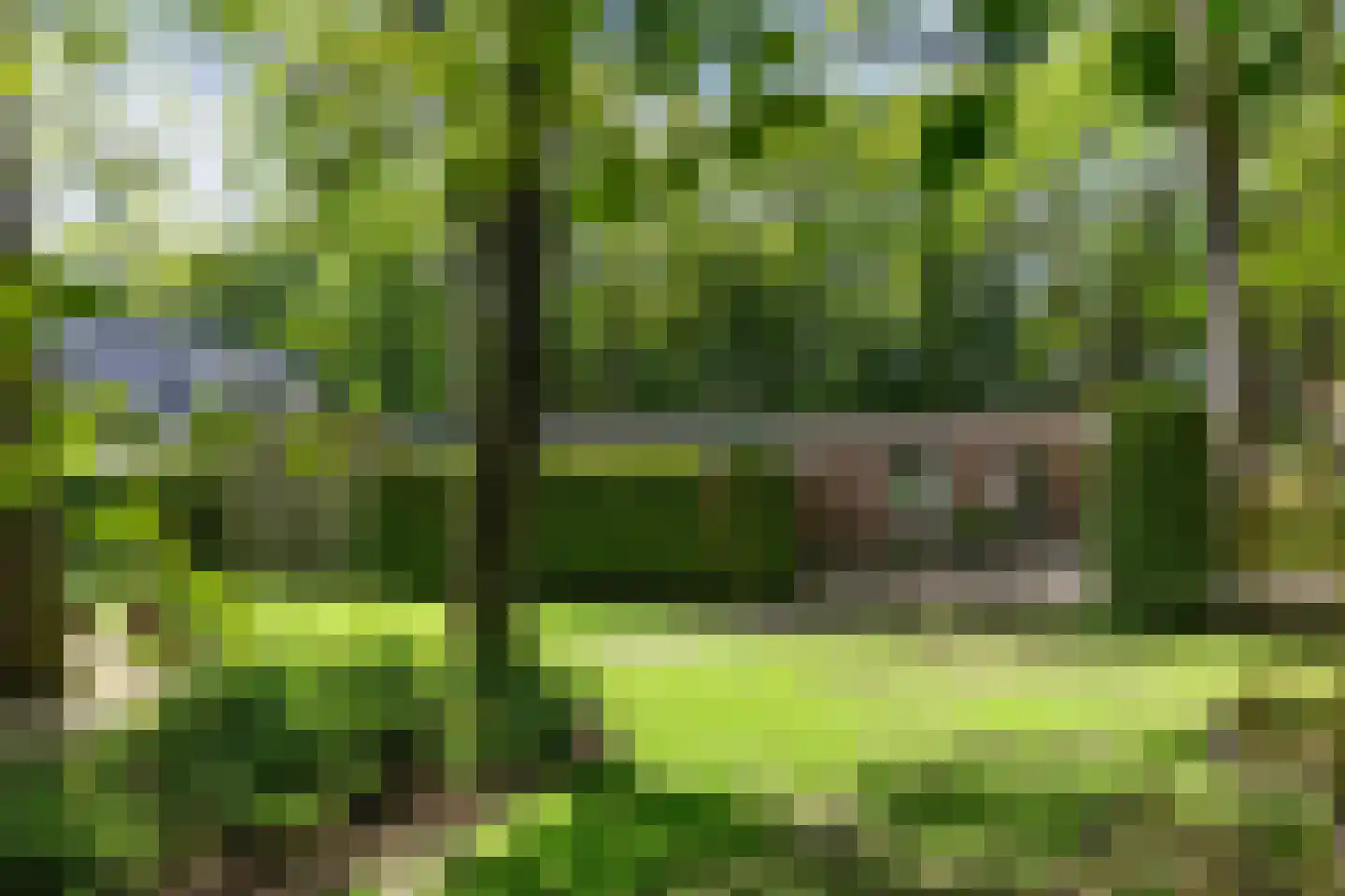 Vossepad 13 Emmen thumbnail 42
