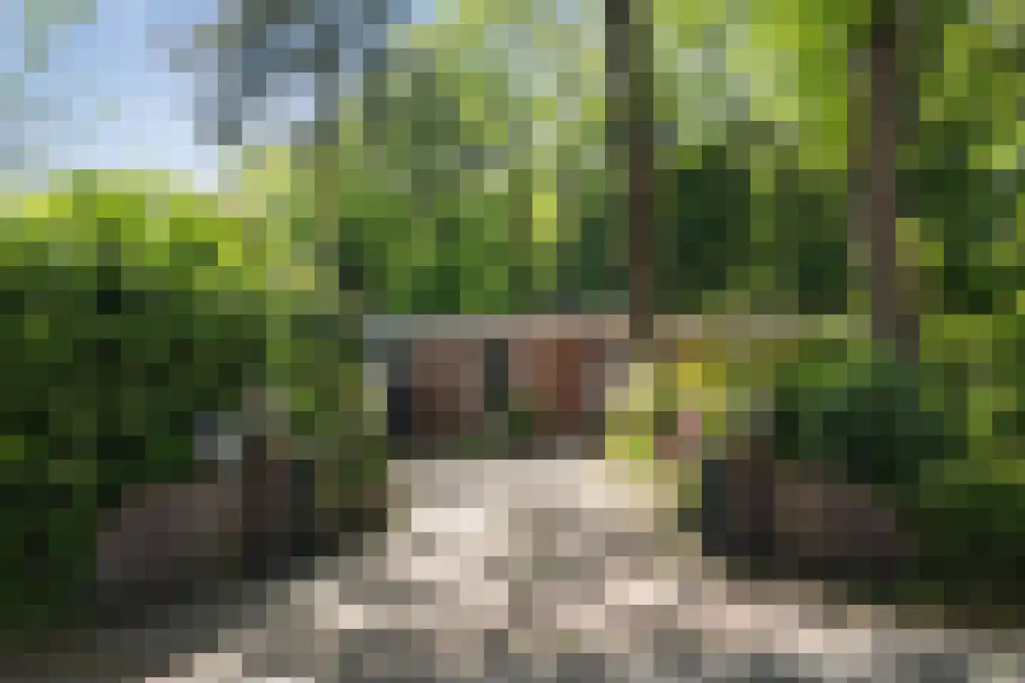 Vossepad 13 Emmen thumbnail 43