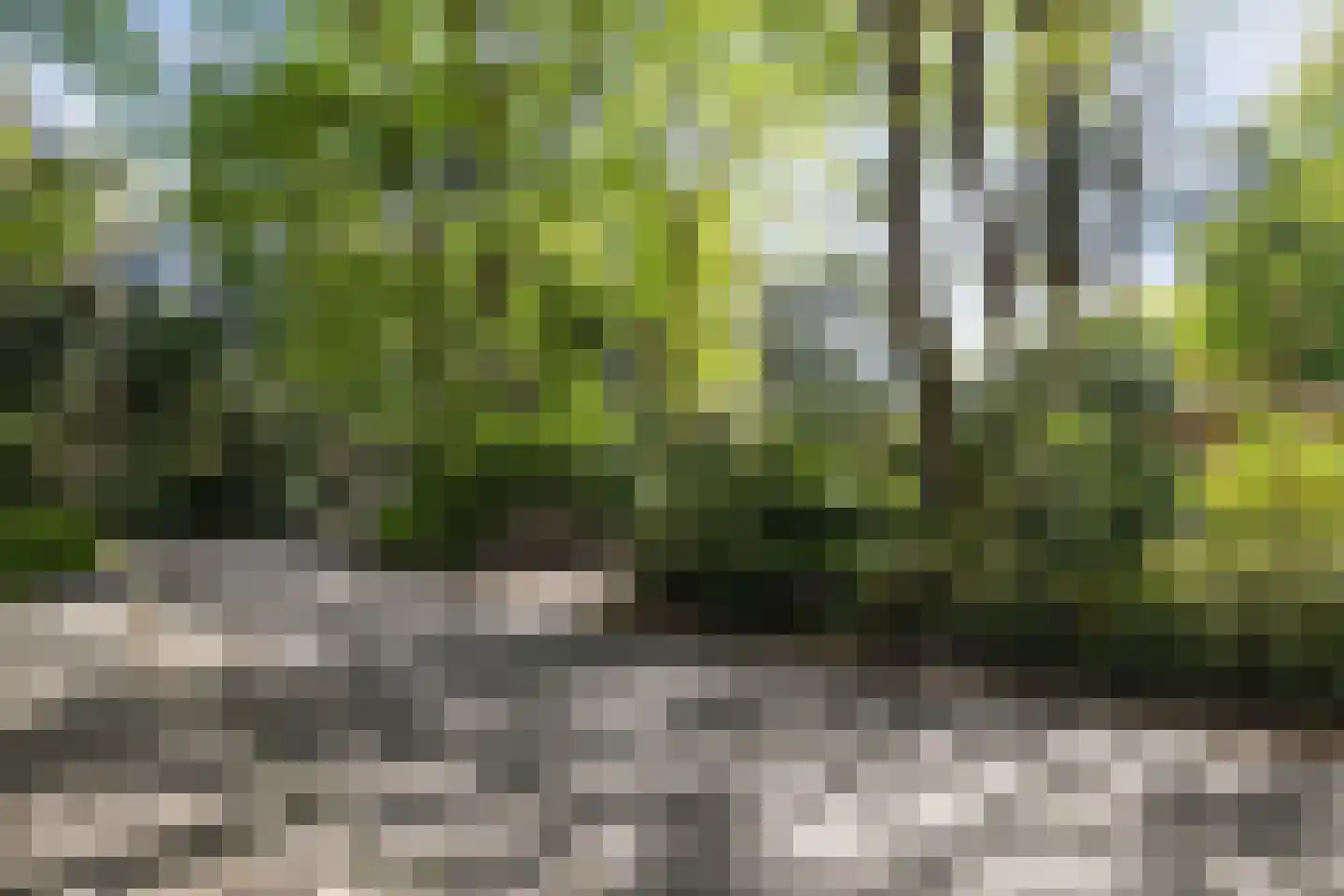 Vossepad 13 Emmen thumbnail 46